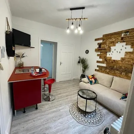 Le Nid Du Phoenix - Proche Thermes & Parcs - Rez De Chaussee Apartamento Vichy
